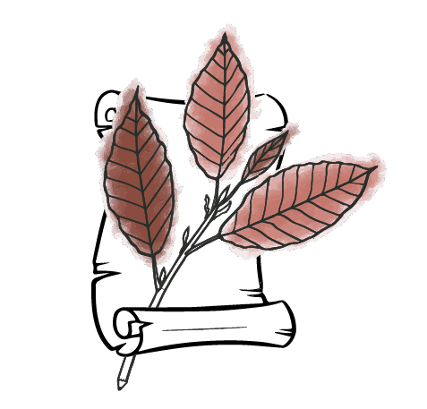 Feuilles & Vie
